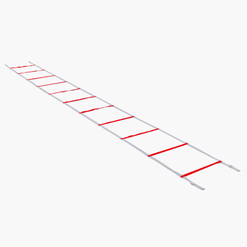 Powermax agility sale ladder